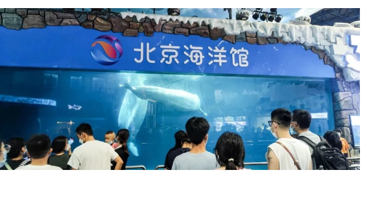 美仪助力北京海洋馆数字化运维