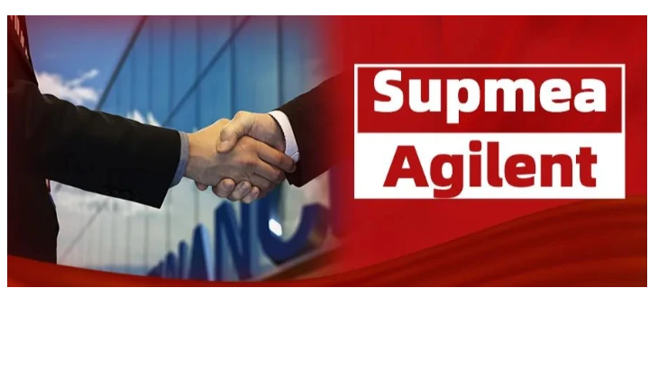 ChatGPT为美仪写了一篇报道